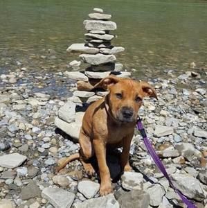 Meet your Posher, Wayne